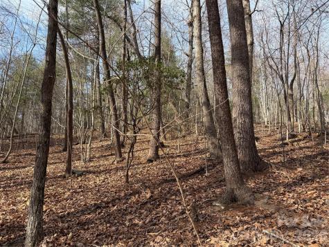 Tbd W Meadows Road Moravian Falls NC 28654