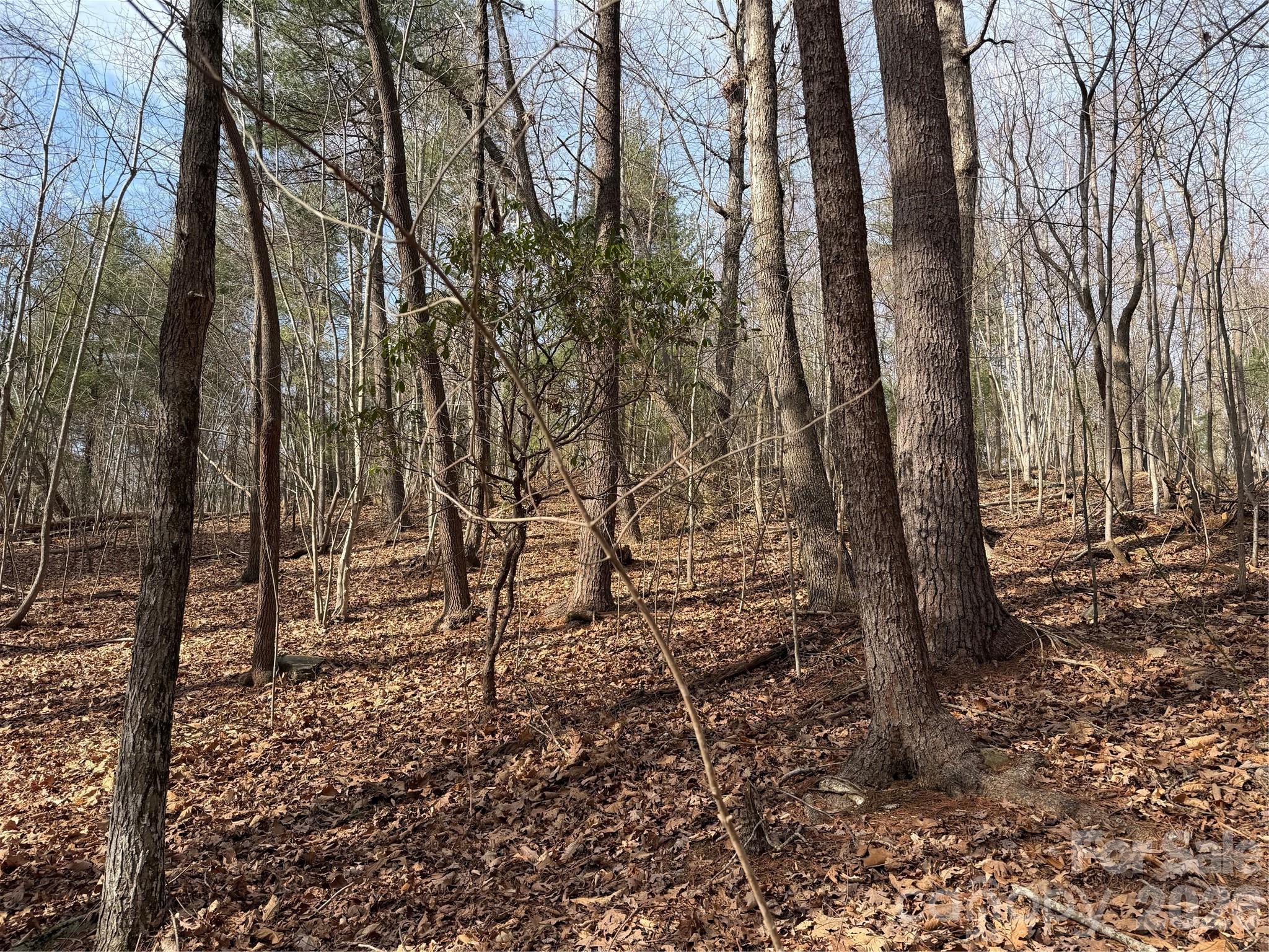 Tbd W Meadows Road Moravian Falls NC 28654