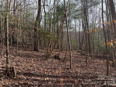 Tbd W Meadows Road Moravian Falls NC 28654