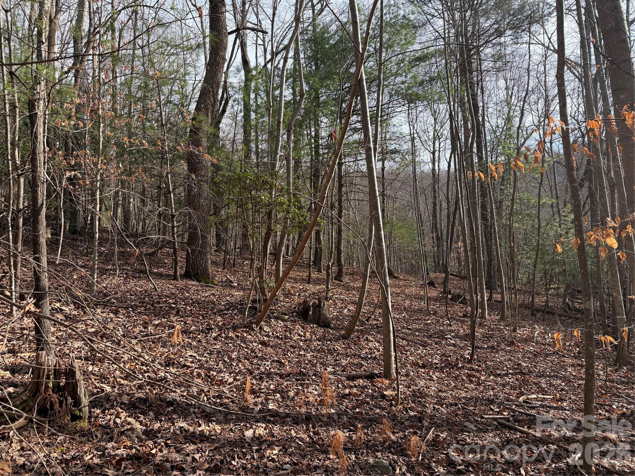 Tbd W Meadows Road Moravian Falls NC 28654
