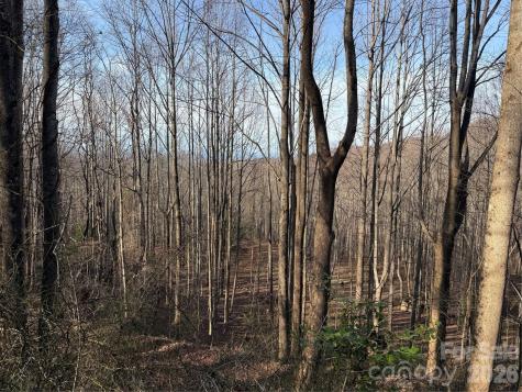 Tbd W Meadows Road Moravian Falls NC 28654