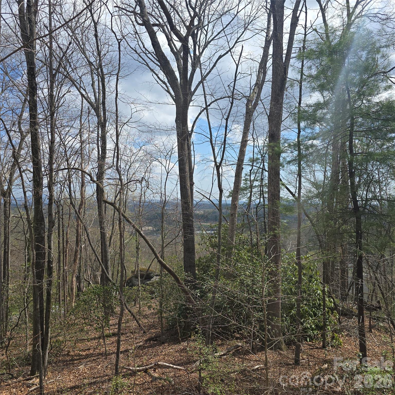 185 Garnet Way Hendersonville NC 28791