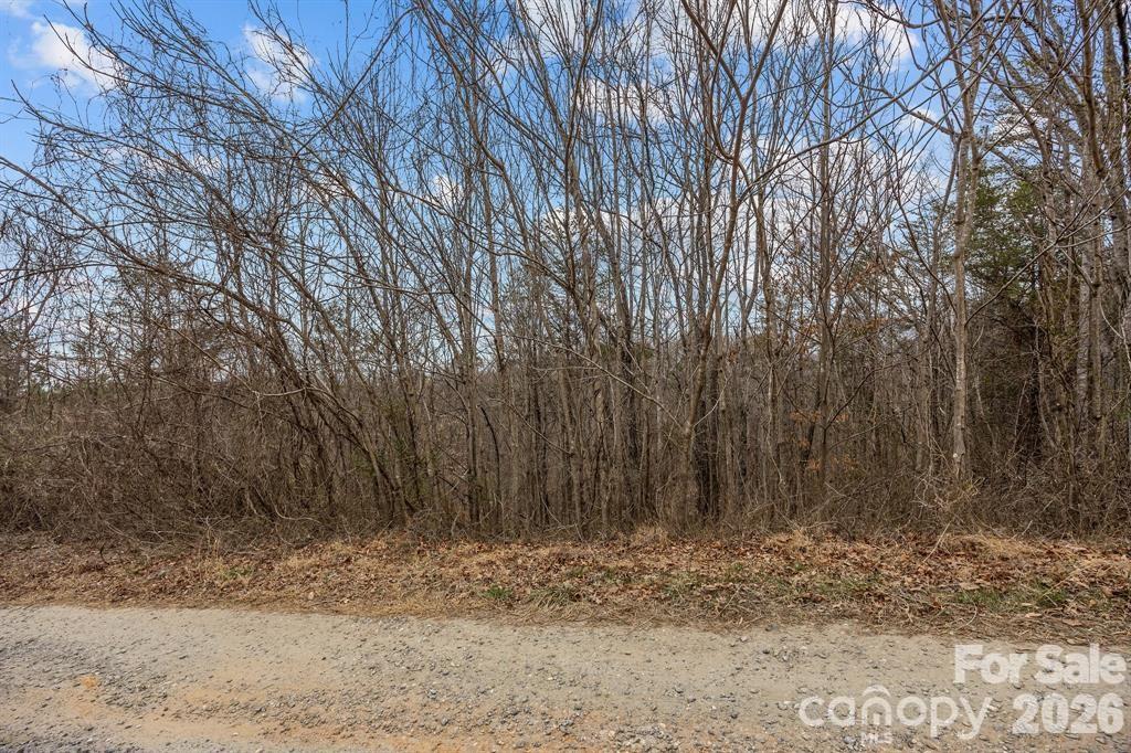 Lot 103 Glenhaven Drive Marion NC 28752