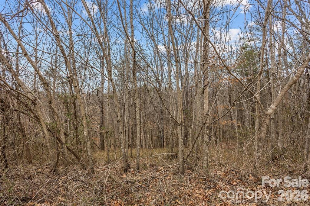 Lot 103 Glenhaven Drive Marion NC 28752