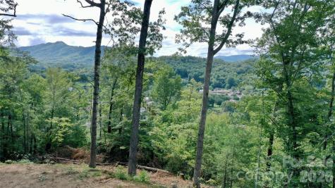 81 Bacon Drive Bryson City NC 28713