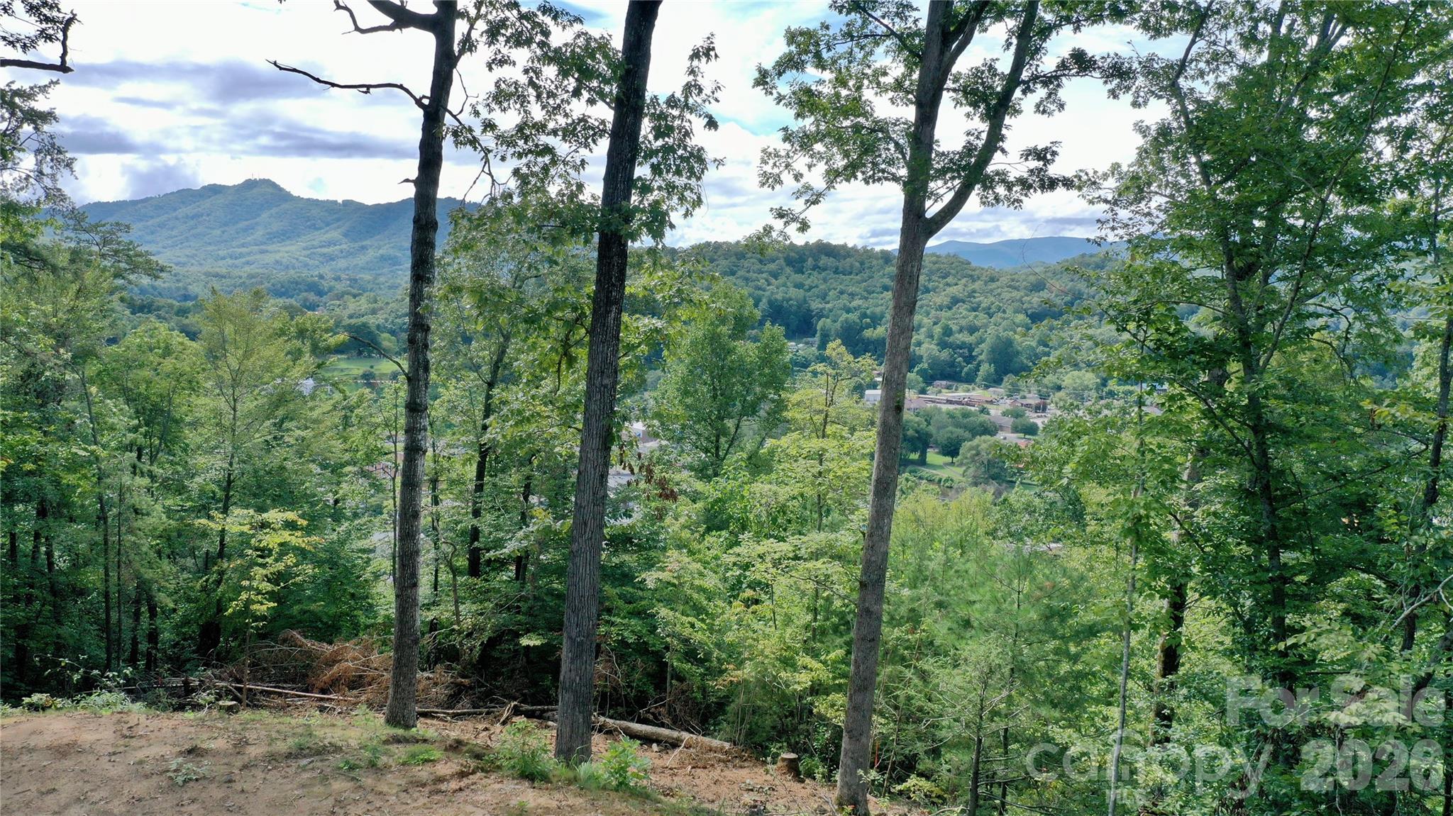 81 Bacon Drive Bryson City NC 28713