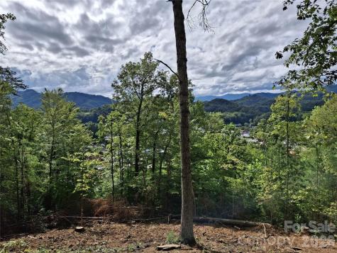 81 Bacon Drive Bryson City NC 28713