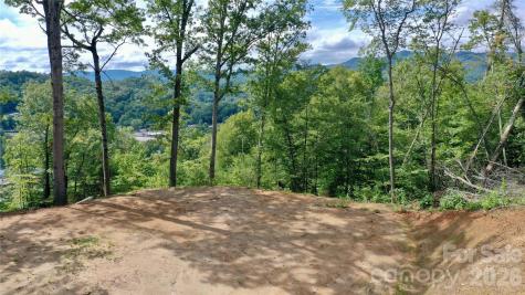 81 Bacon Drive Bryson City NC 28713