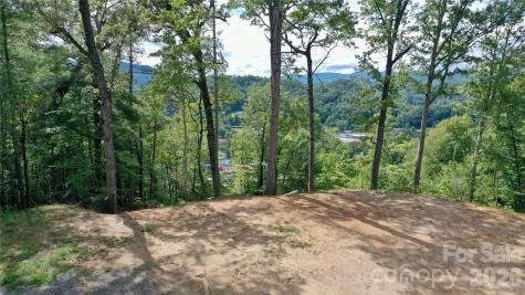 81 Bacon Drive Bryson City NC 28713