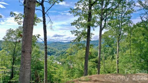 81 Bacon Drive Bryson City NC 28713