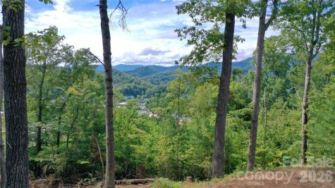 81 Bacon Drive Bryson City NC 28713