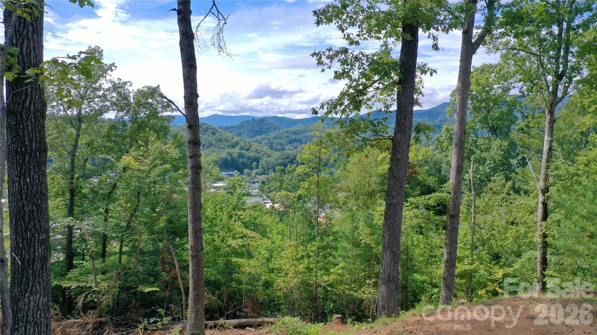 81 Bacon Drive Bryson City NC 28713