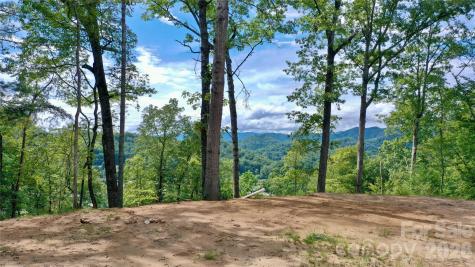 81 Bacon Drive Bryson City NC 28713