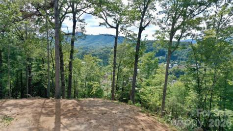 81 Bacon Drive Bryson City NC 28713