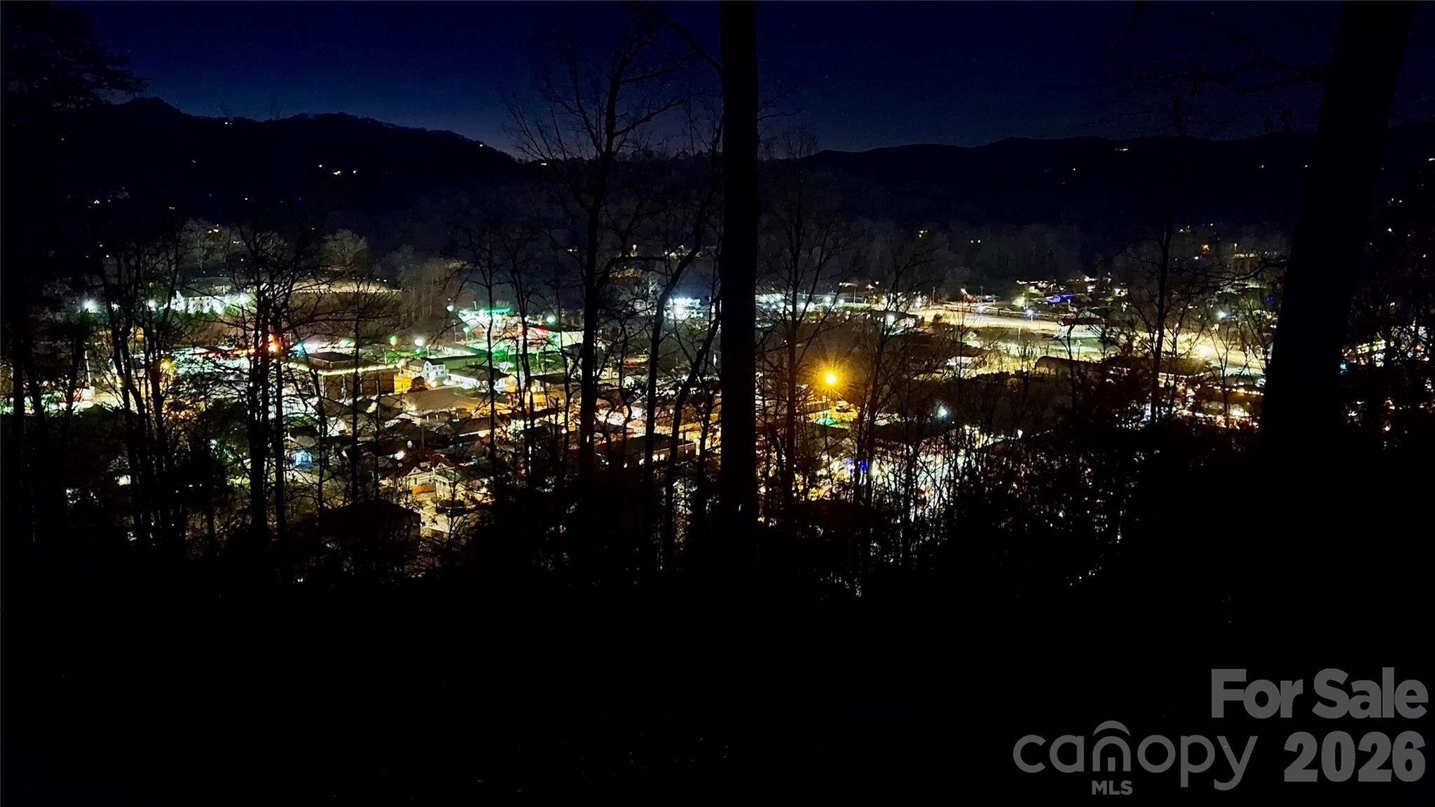 81 Bacon Drive Bryson City NC 28713