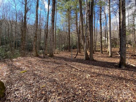 12 Laurel Branch Drive Black Mountain NC 28711