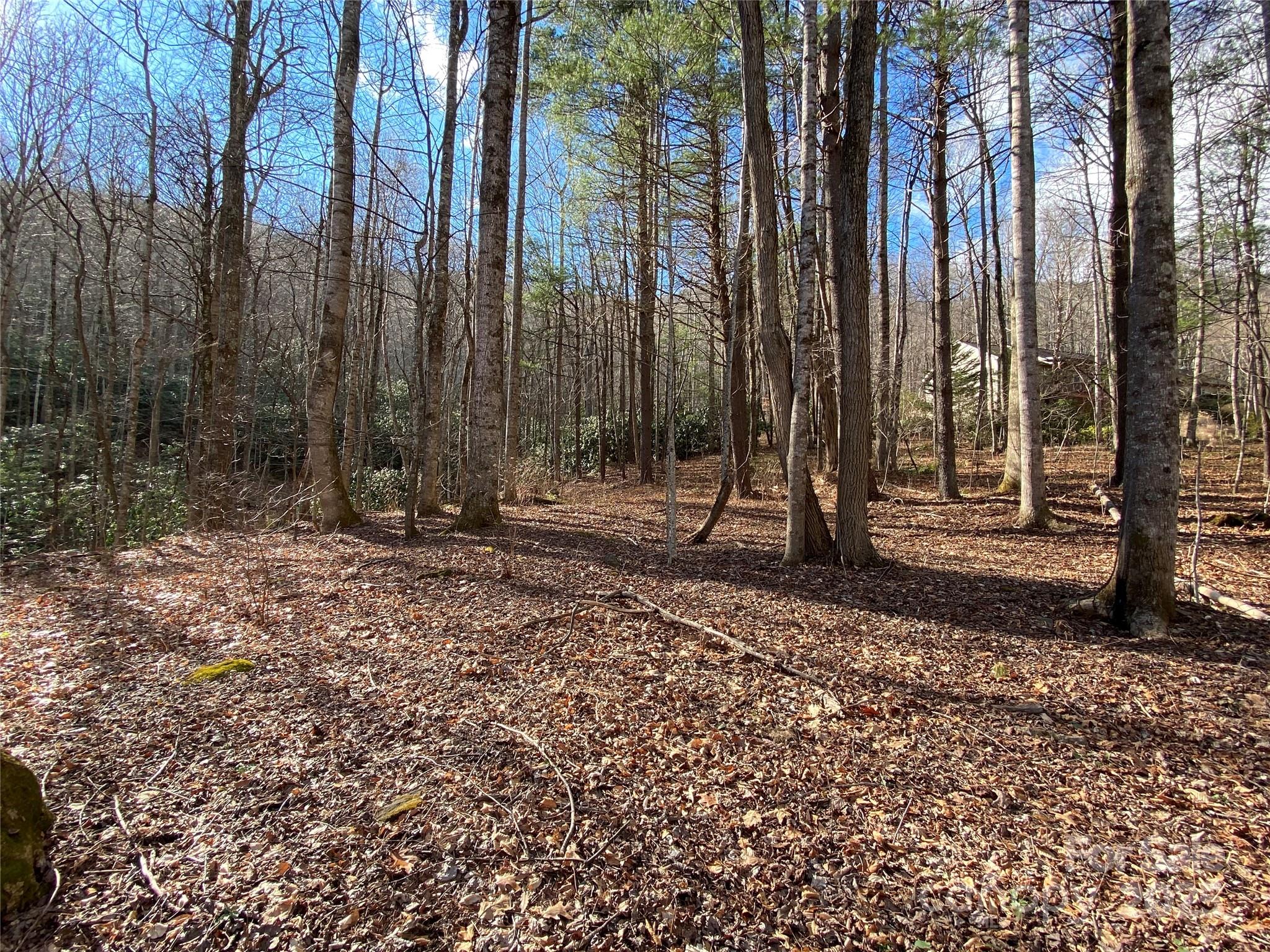 12 Laurel Branch Drive Black Mountain NC 28711