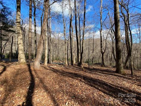 12 Laurel Branch Drive Black Mountain NC 28711