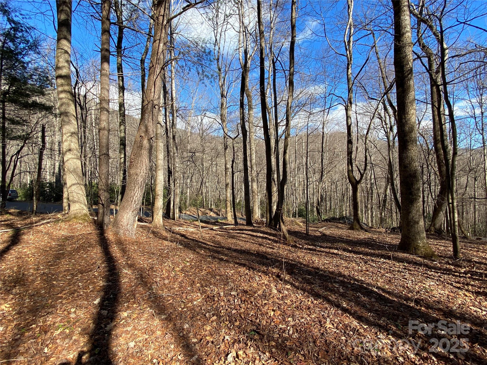 12 Laurel Branch Drive Black Mountain NC 28711