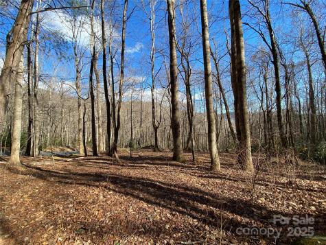 12 Laurel Branch Drive Black Mountain NC 28711