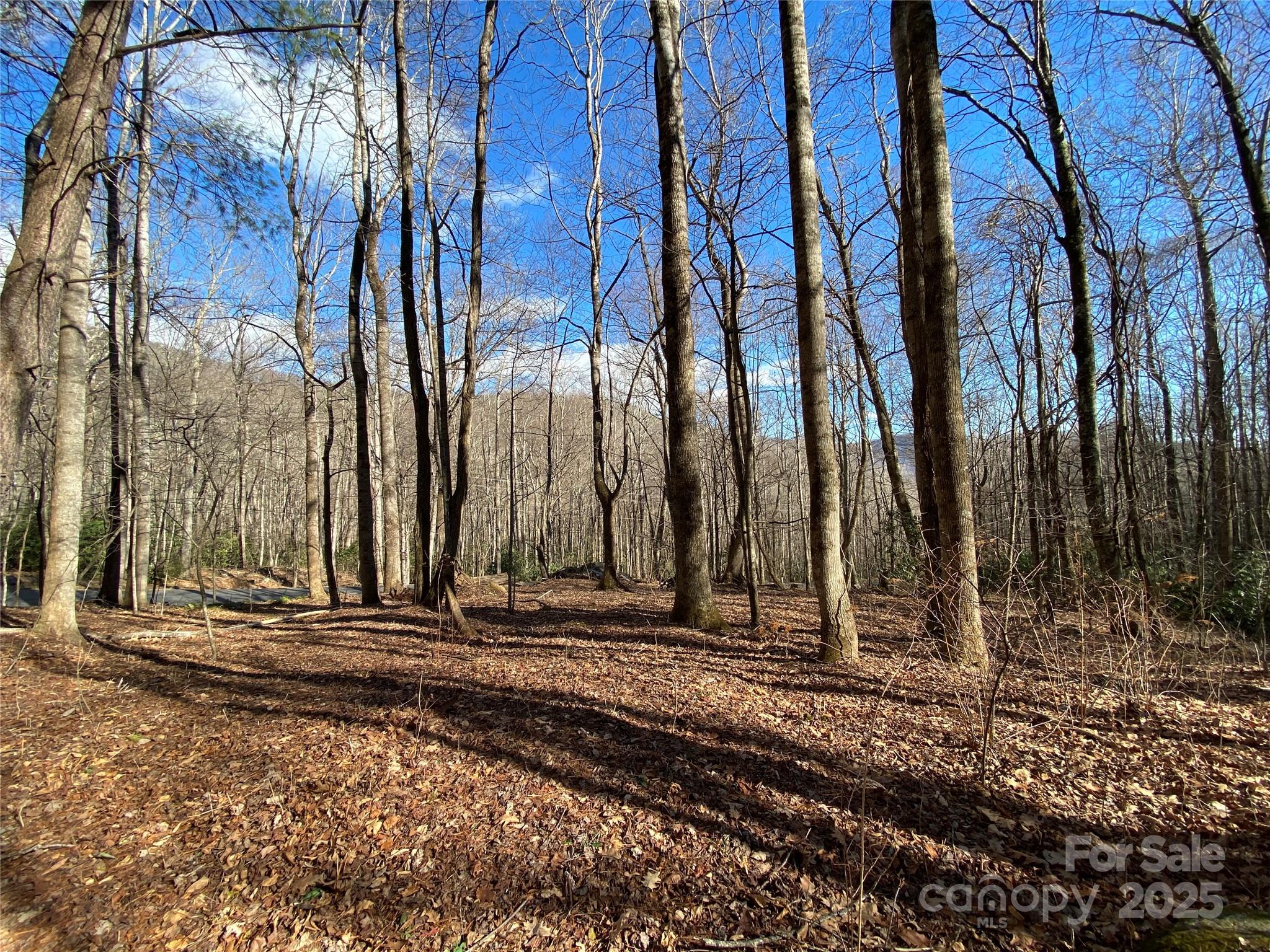 12 Laurel Branch Drive Black Mountain NC 28711