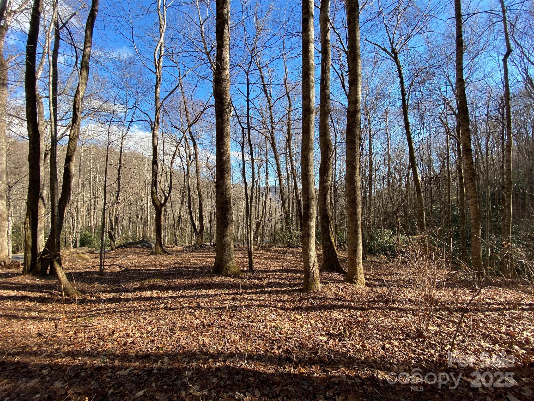 12 Laurel Branch Drive Black Mountain NC 28711