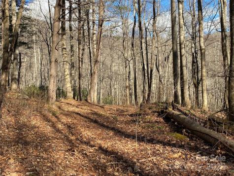 12 Laurel Branch Drive Black Mountain NC 28711
