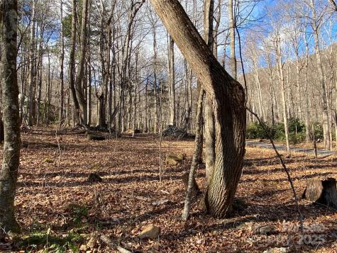 12 Laurel Branch Drive Black Mountain NC 28711