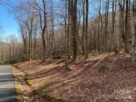 12 Laurel Branch Drive Black Mountain NC 28711