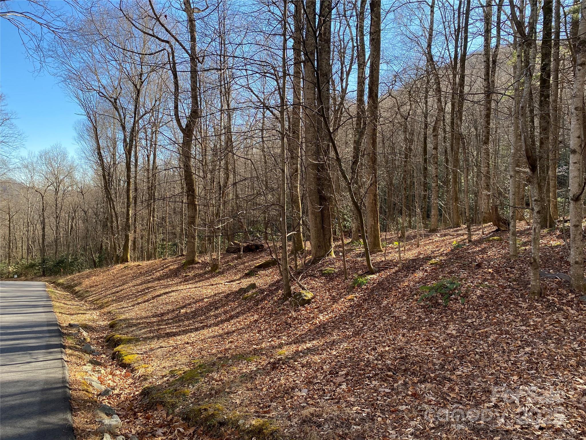 12 Laurel Branch Drive Black Mountain NC 28711