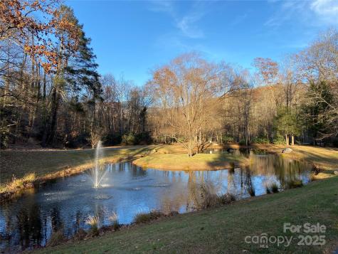 12 Laurel Branch Drive Black Mountain NC 28711