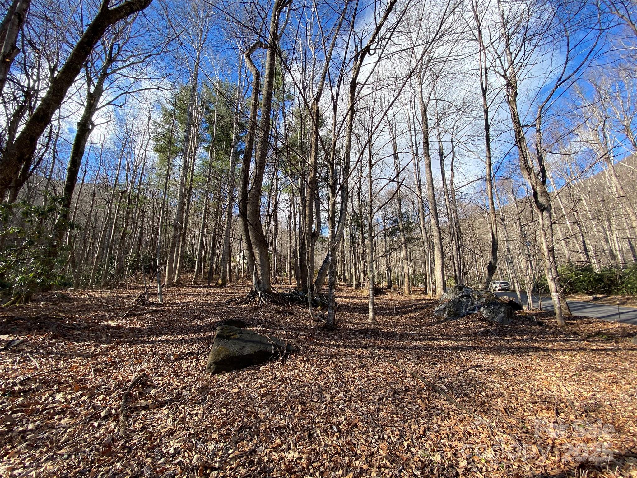 12 Laurel Branch Drive Black Mountain NC 28711