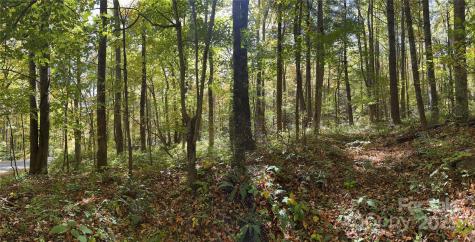 12 Laurel Branch Drive Black Mountain NC 28711