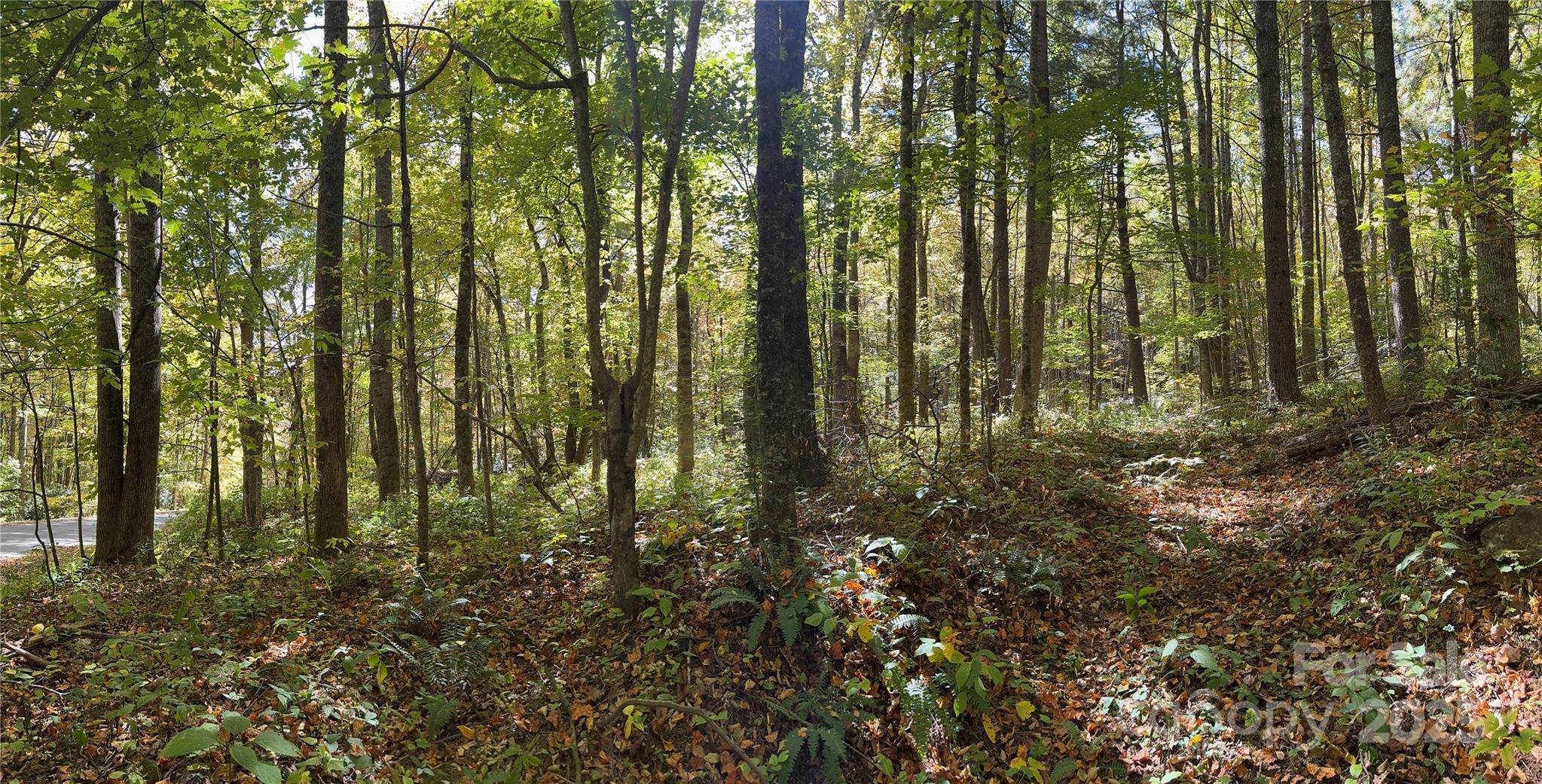 12 Laurel Branch Drive Black Mountain NC 28711