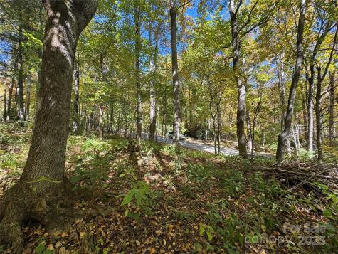 12 Laurel Branch Drive Black Mountain NC 28711