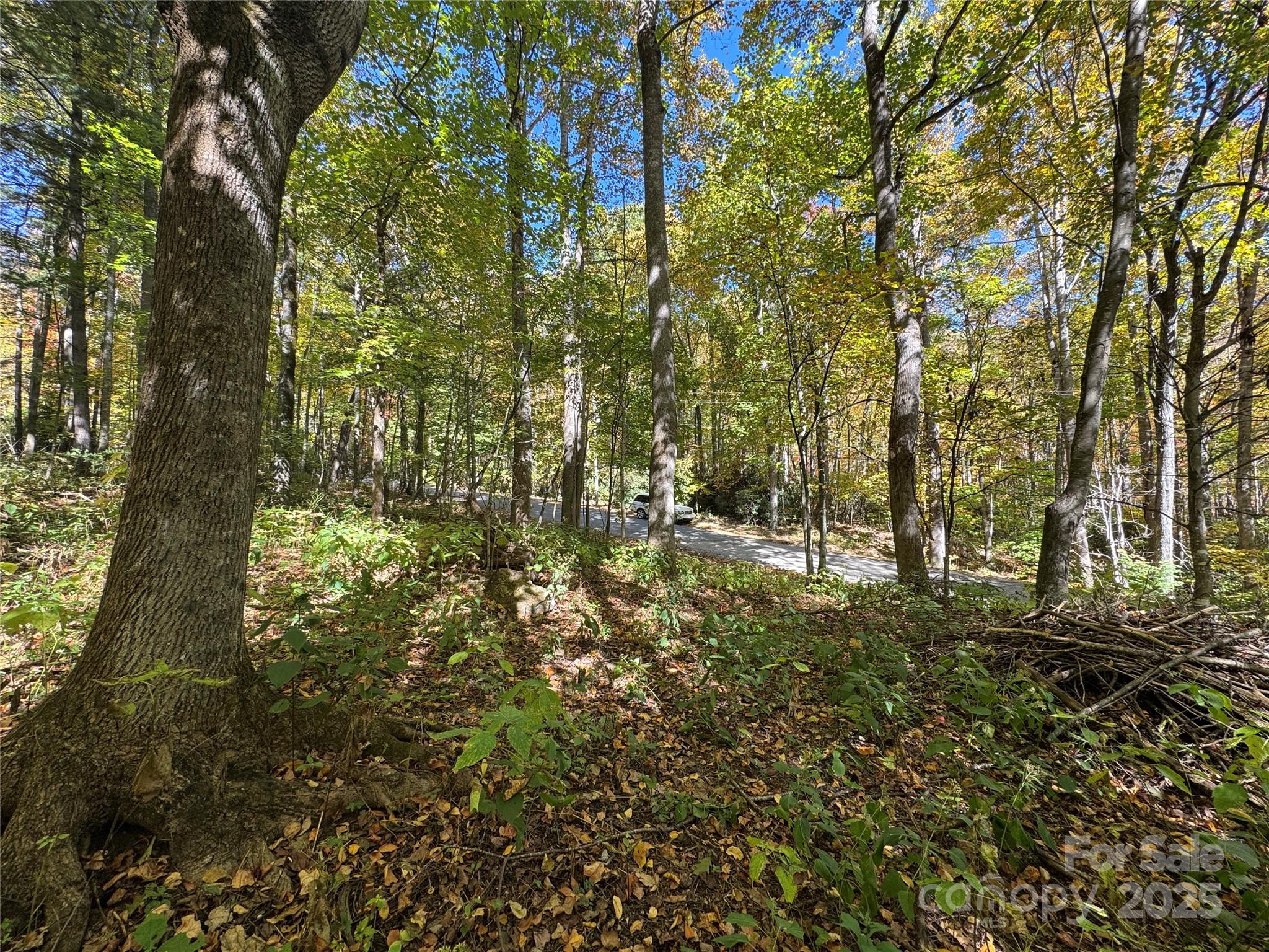 12 Laurel Branch Drive Black Mountain NC 28711