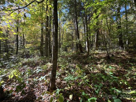 12 Laurel Branch Drive Black Mountain NC 28711