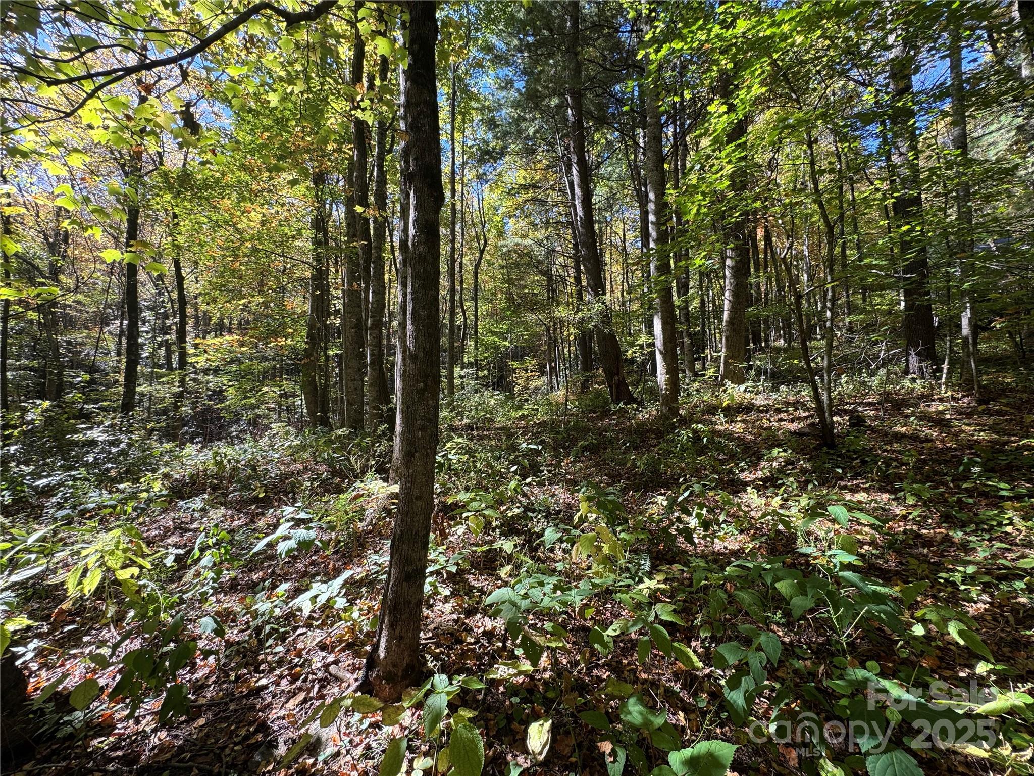 12 Laurel Branch Drive Black Mountain NC 28711