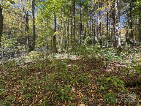 12 Laurel Branch Drive Black Mountain NC 28711