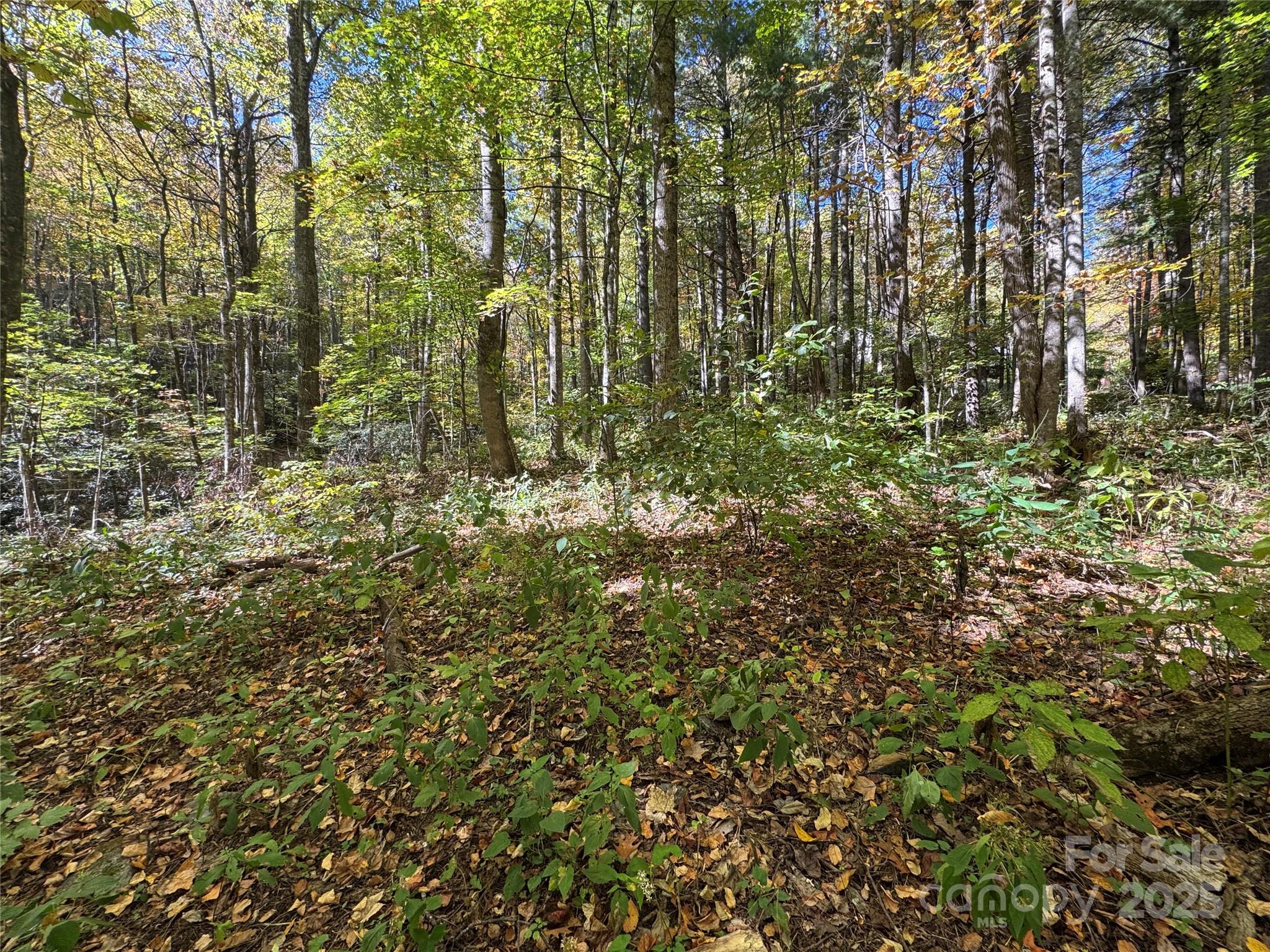 12 Laurel Branch Drive Black Mountain NC 28711