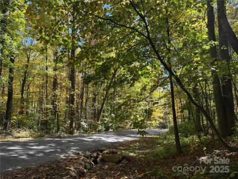 12 Laurel Branch Drive Black Mountain NC 28711