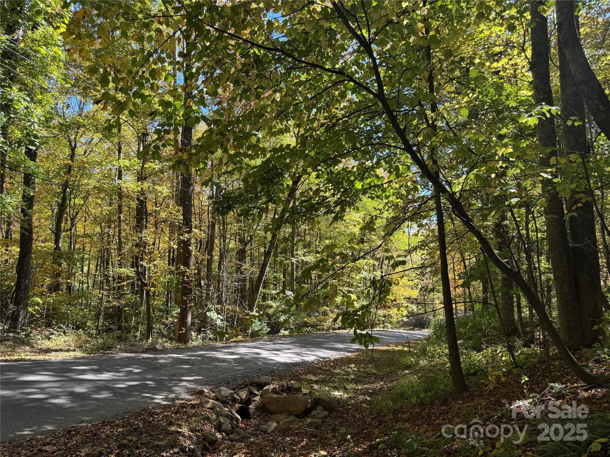 12 Laurel Branch Drive Black Mountain NC 28711
