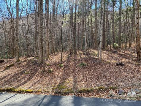 12 Laurel Branch Drive Black Mountain NC 28711