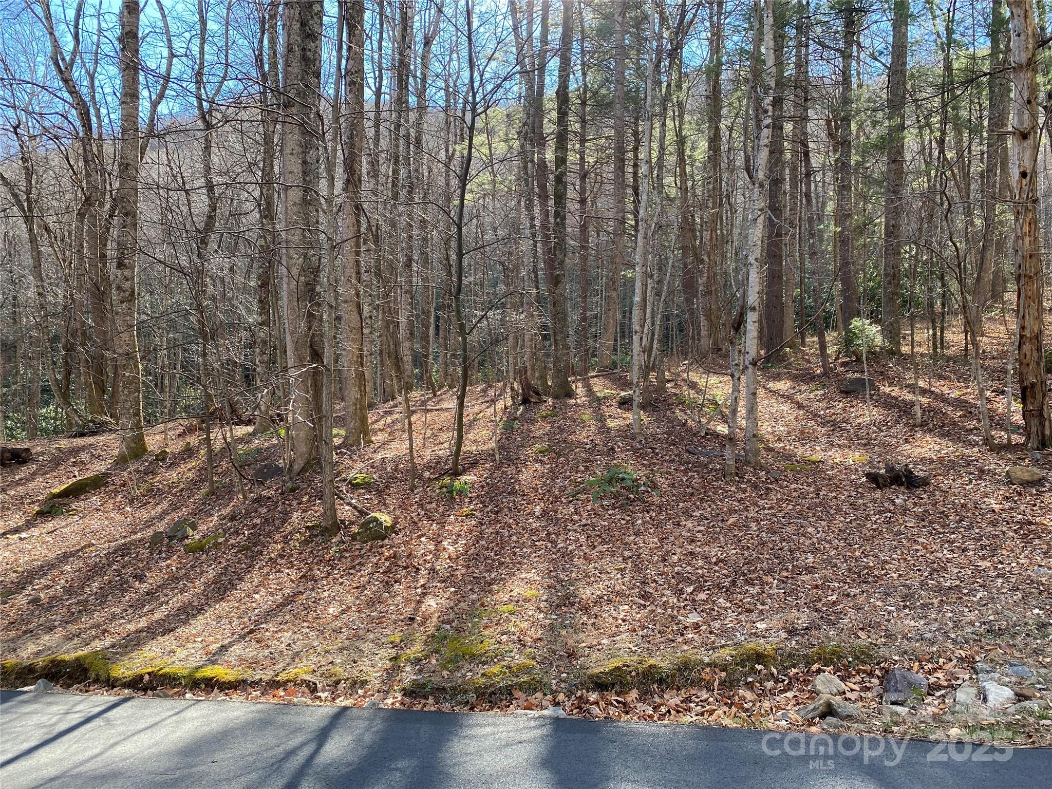12 Laurel Branch Drive Black Mountain NC 28711