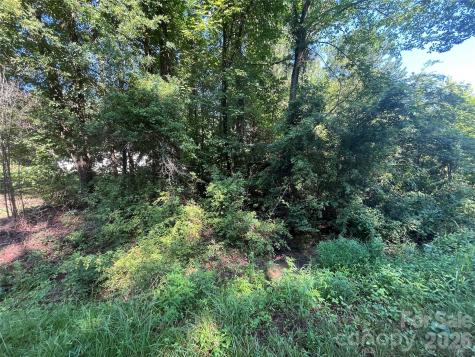 0 Webb Loop Road Mount Gilead NC 27306