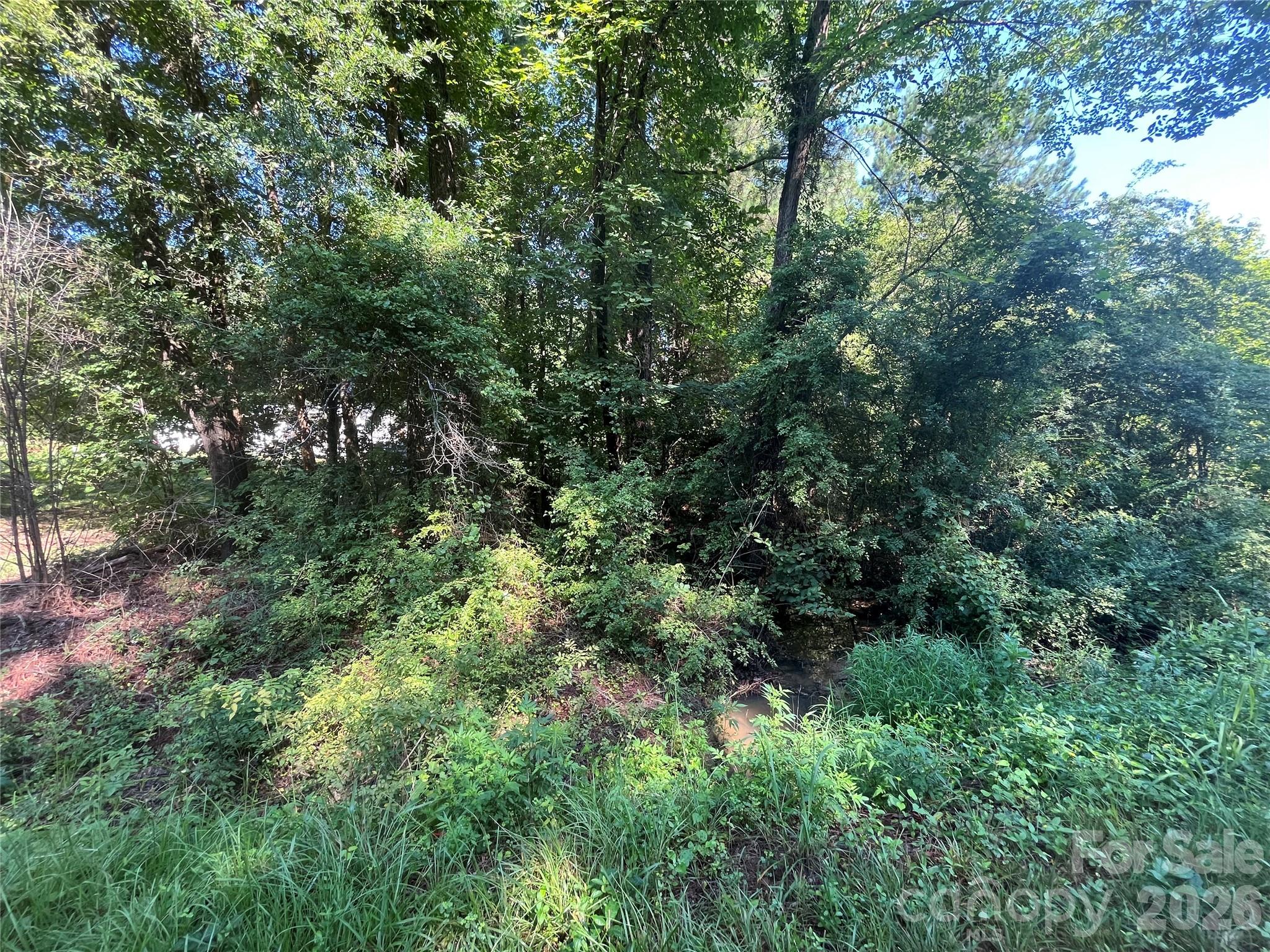 0 Webb Loop Road Mount Gilead NC 27306