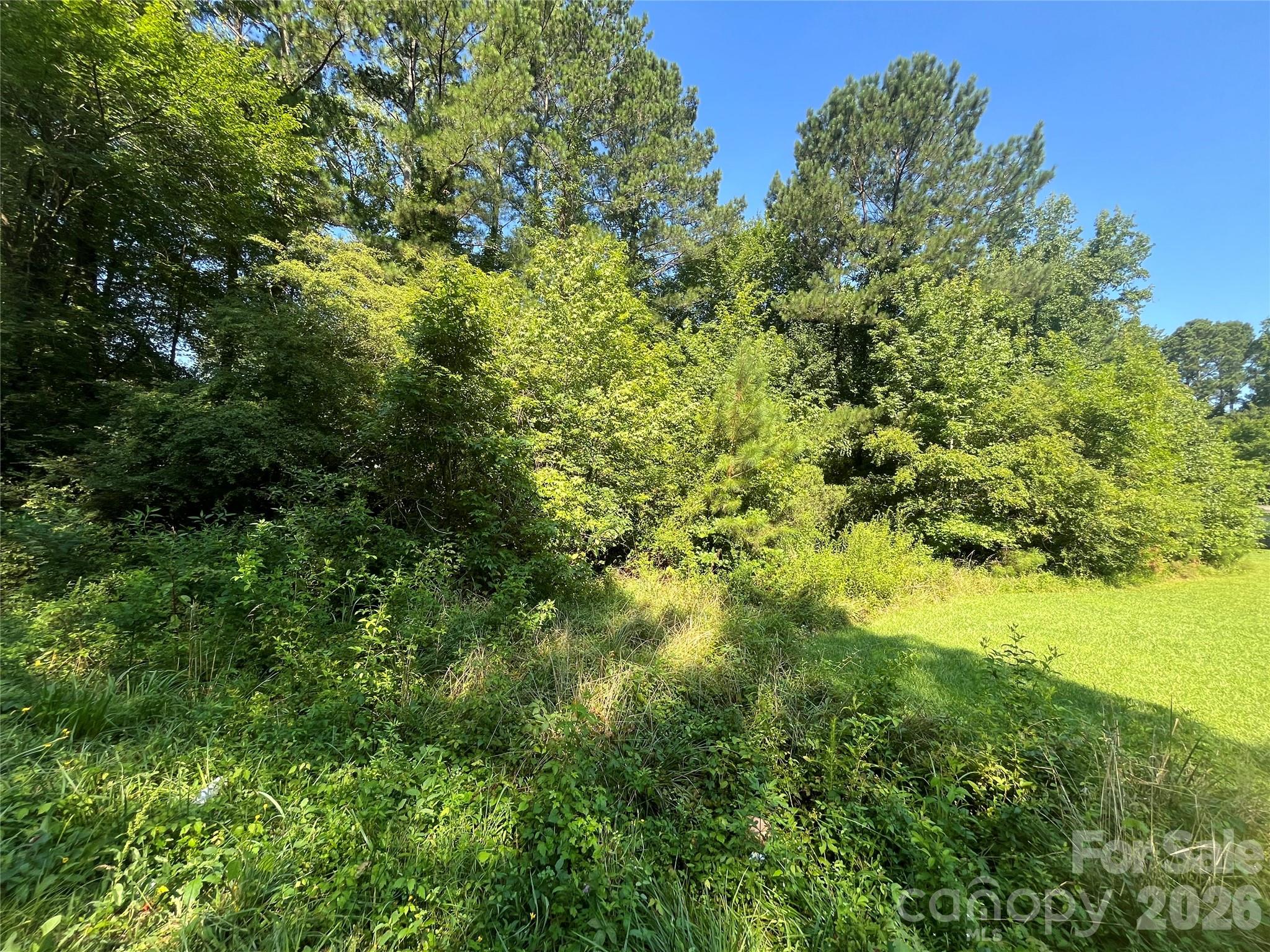 0 Webb Loop Road Mount Gilead NC 27306