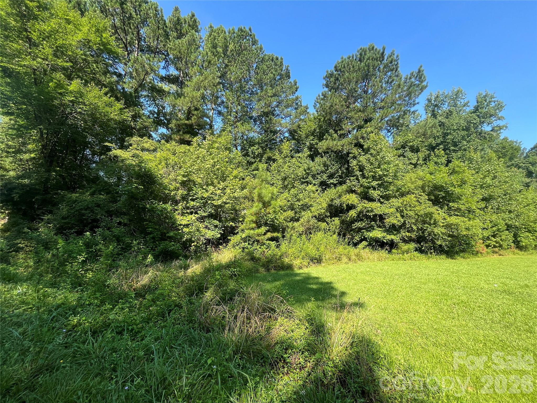 0 Webb Loop Road Mount Gilead NC 27306