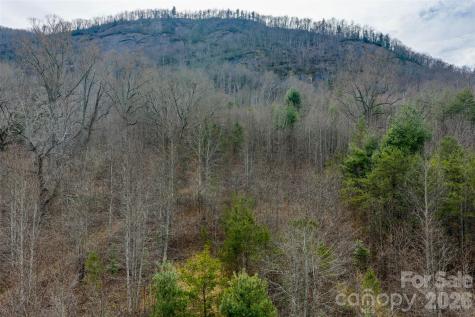99999 Brush Creek Circle Fairview NC 28730