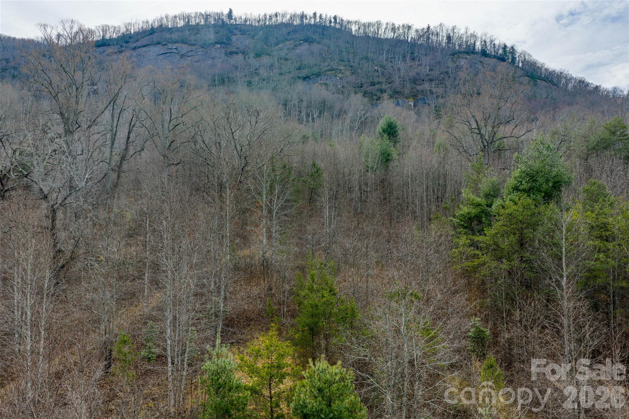 99999 Brush Creek Circle Fairview NC 28730